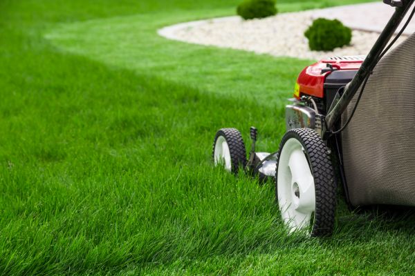 Mowing Service in Wenatchee
