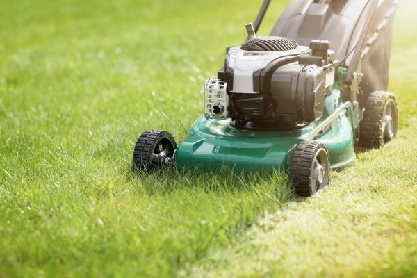 Cost of Yard Cutting in Wenatchee