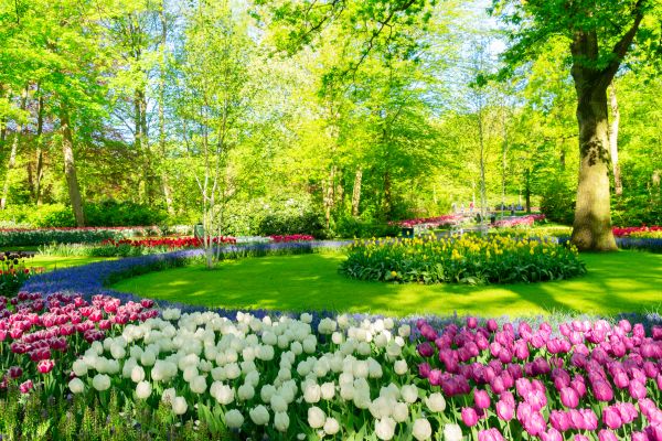 Spring Lawn Care in Wenatchee