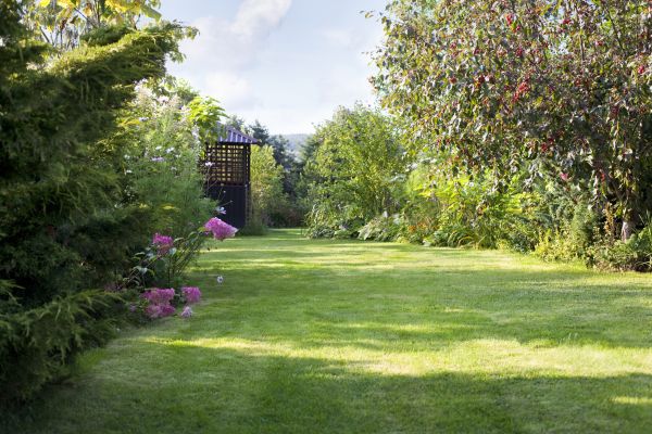 Yard Upkeep Service in Wenatchee