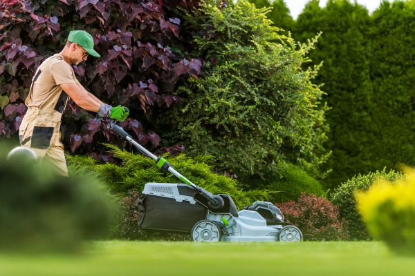Lawn Management in Wenatchee