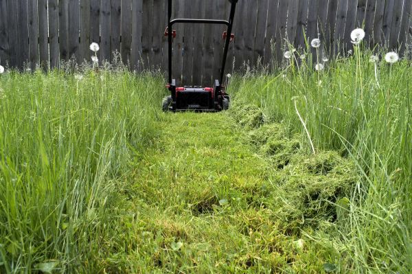 High Grass Mowing in Wenatchee