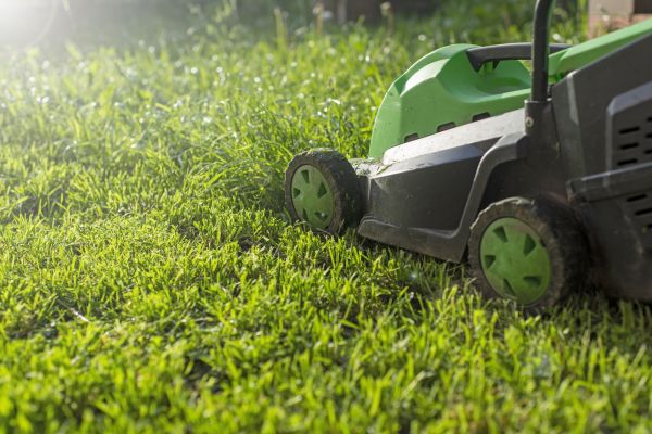 Cost of Lot Mowing in Wenatchee