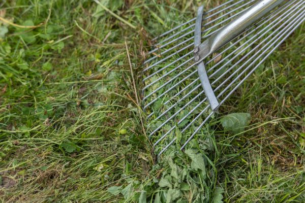 Thatch Raking in Wenatchee