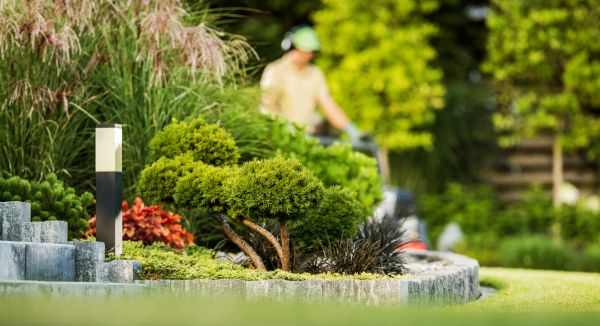 Residential Yard Maintenance in Wenatchee