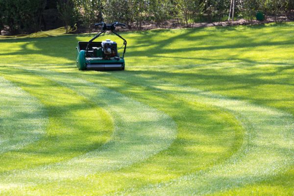 Business Lawn Mowing in Wenatchee