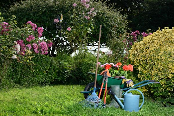 Property Gardening
