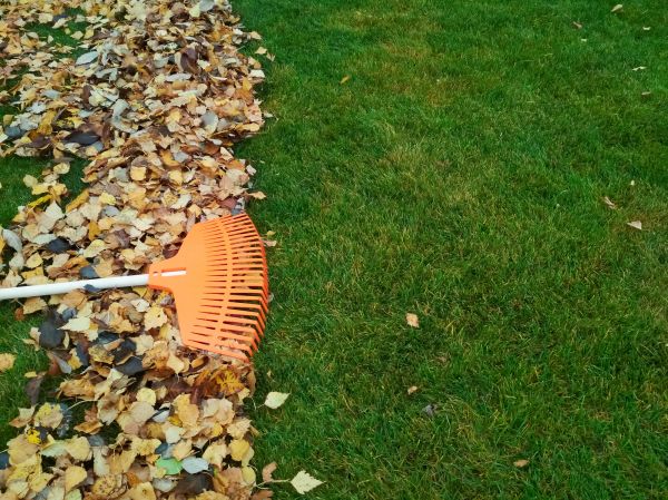 Fall Lawn Care in Wenatchee