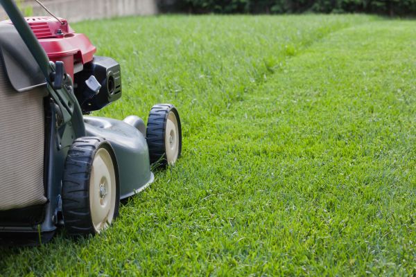 Spring Lawn Maintenance in Wenatchee