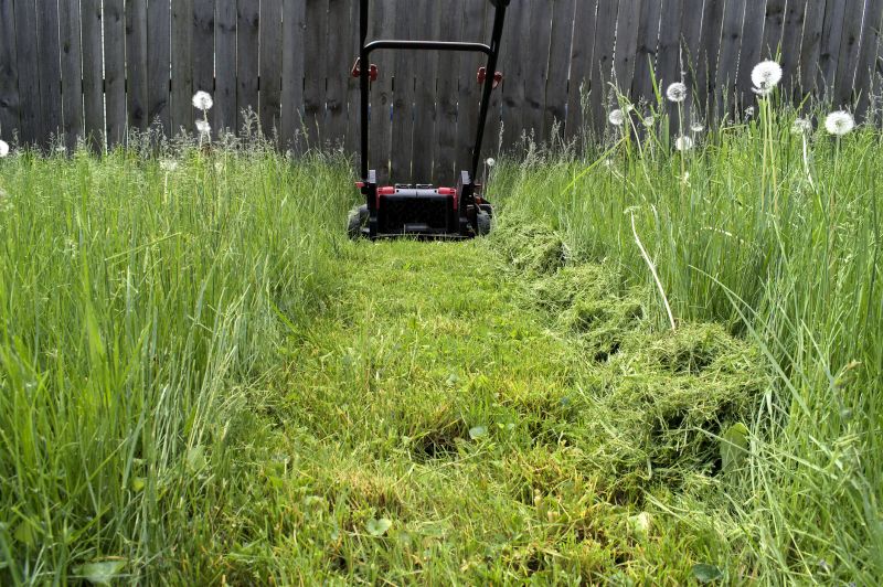 Lawn Mowing in Action
